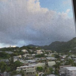 Meet your Posher, Iris